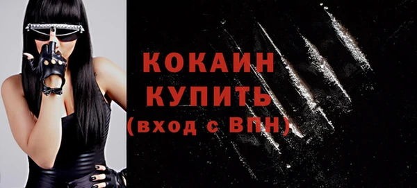 мдпв Михайлов