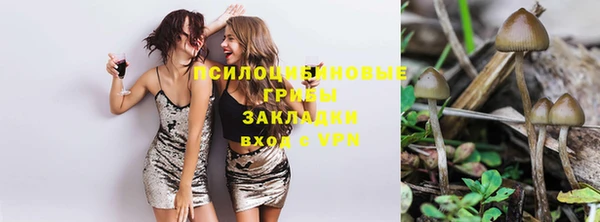 винт Михайловск